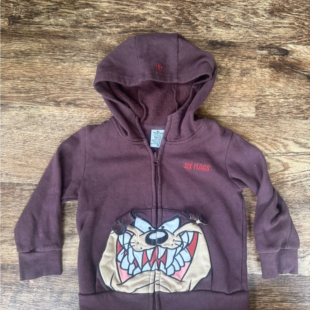 Warner Bros. Brown Taz Hoodie for Kids